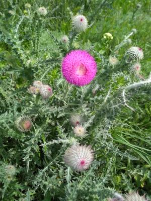 Прикрепленное изображение: IMG_20220501_114456.jpg